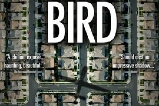 National Bird National Bird
