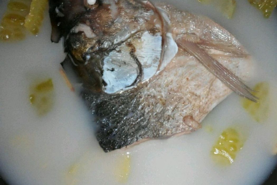 涼瓜魚頭煲 涼瓜魚頭煲
