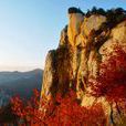 長安八景 長安八景