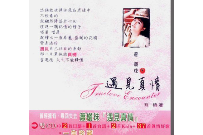 諾言(蕭孋珠演唱歌曲) 諾言(蕭孋珠演唱歌曲)