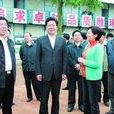先導區(大河西先導區) 先導區(大河西先導區)
