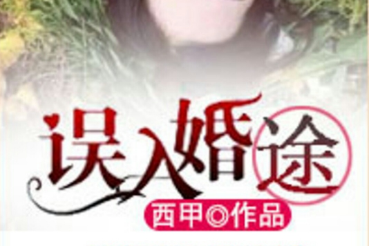 誤入婚途 誤入婚途