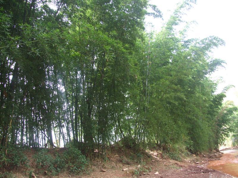 法門村 法門村