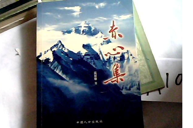 赤心集 赤心集