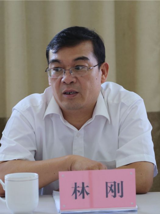 林剛(安徽省亳州市利辛縣委常委、縣紀委書記、縣監委主任) 林剛(安徽省亳州市利辛縣委常委、縣紀委書記、縣監委主任)