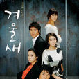 冬候鳥(2007年韓國MBC播出的周末電視劇) 冬候鳥(2007年韓國MBC播出的周末電視劇)
