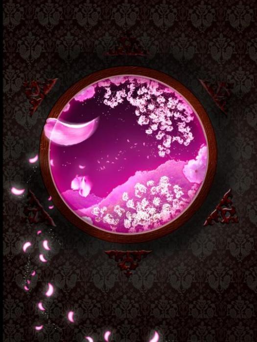 極慕芳華 極慕芳華