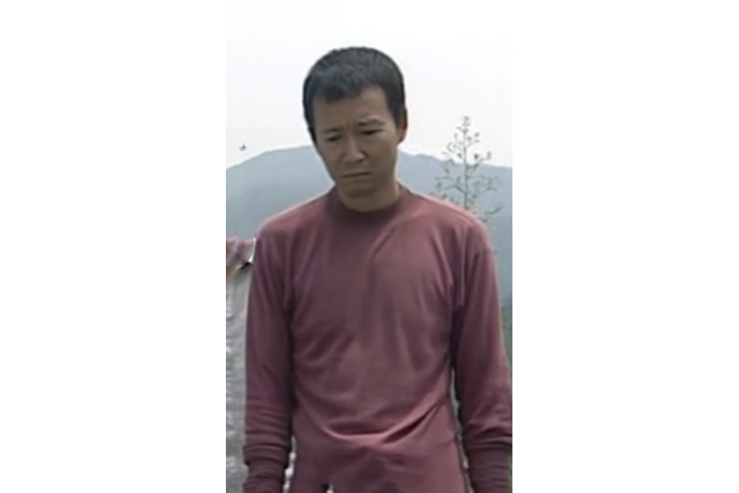 丁三(《落淚成金》中由王紅晨飾演的角色) 丁三(《落淚成金》中由王紅晨飾演的角色)