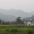 元通村(安徽省巢湖市夏閣鎮元通村) 元通村(安徽省巢湖市夏閣鎮元通村)