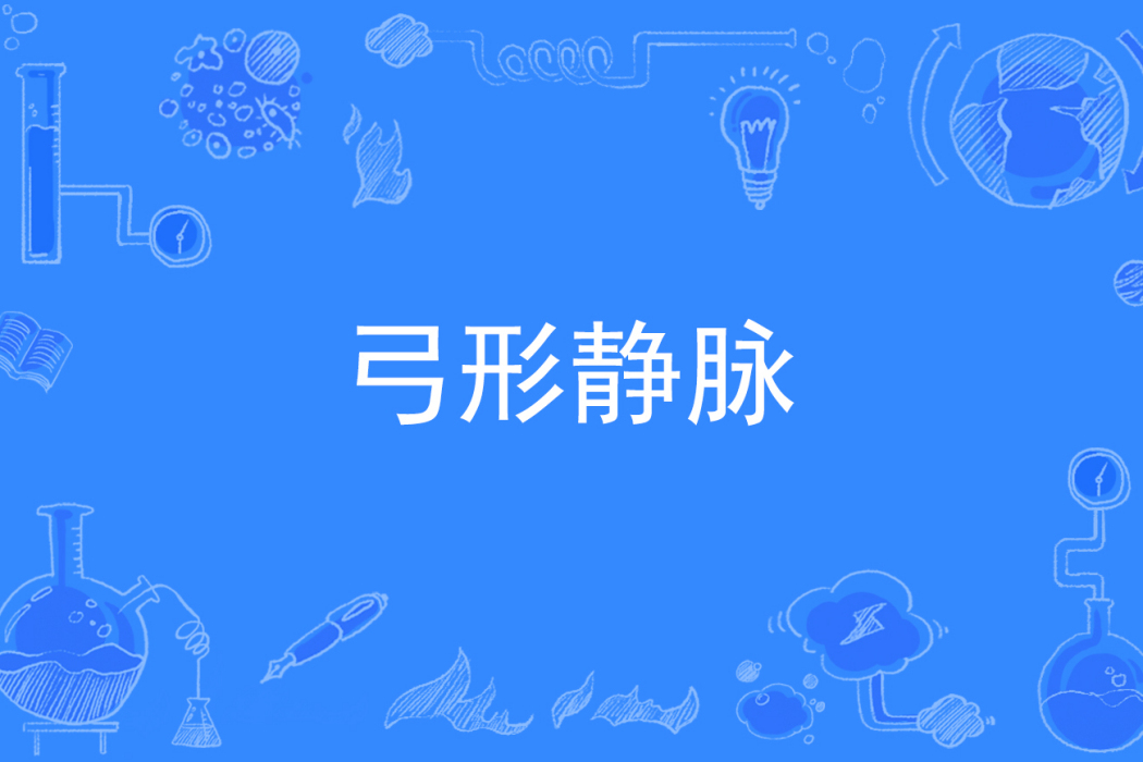 弓形靜脈 弓形靜脈