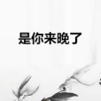 是你來晚了 是你來晚了