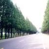 邳蒼公路 邳蒼公路