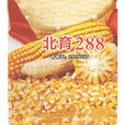 北育288(遼審玉2008372號) 北育288(遼審玉2008372號)