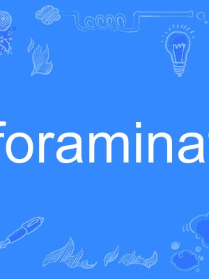 foraminate foraminate