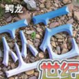 巫石世紀 巫石世紀