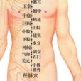 上橫骨 上橫骨