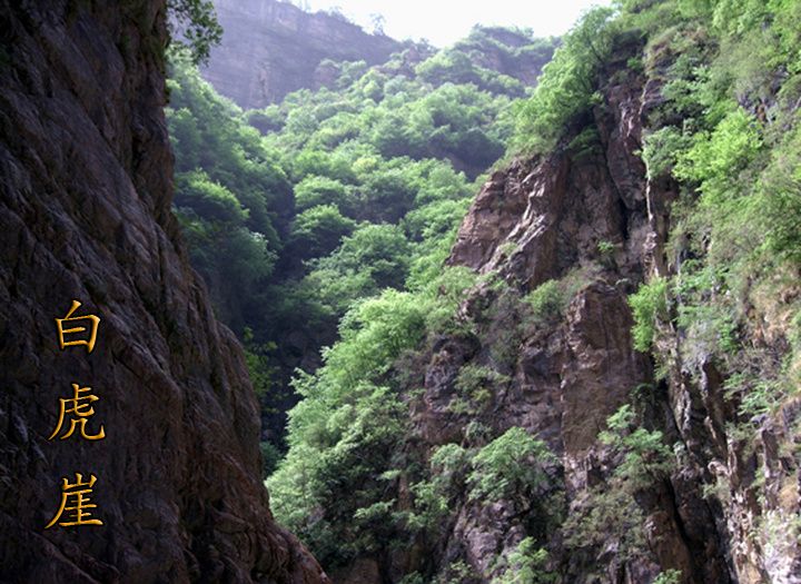 白虎崖 白虎崖