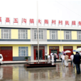 大陳村(安徽省濉溪縣五溝鎮大陳村) 大陳村(安徽省濉溪縣五溝鎮大陳村)