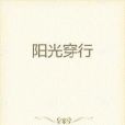 陽光穿行 陽光穿行