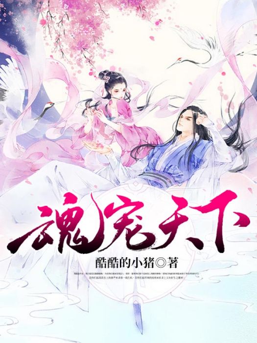 魂寵天下 魂寵天下