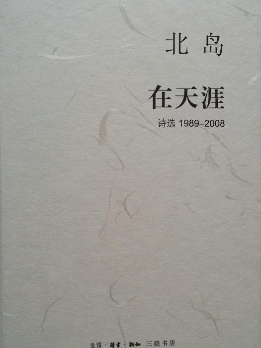 在天涯(2015年三聯書店版) 在天涯(2015年三聯書店版)