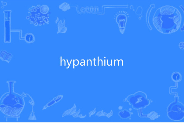 hypanthium hypanthium