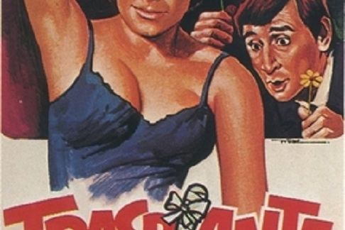 Trapianto, Il Trapianto, Il