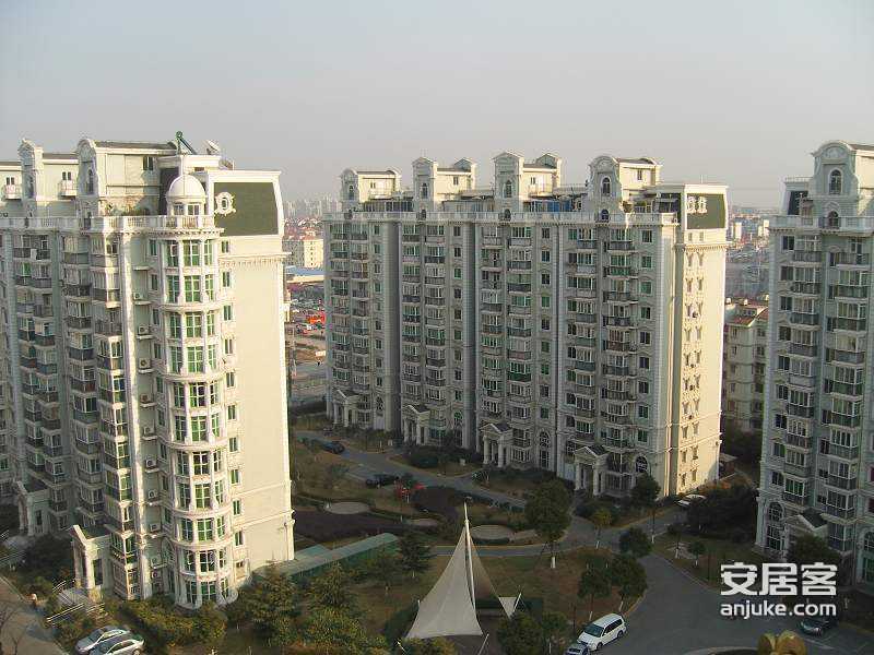 金蘋果花園 金蘋果花園