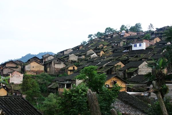 油嶺村(山東省蘭陵縣神山鎮下轄村) 油嶺村(山東省蘭陵縣神山鎮下轄村)