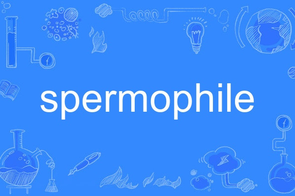spermophile spermophile