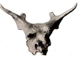 西瓦獸頭骨化石