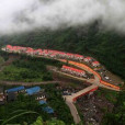 新彝村 新彝村