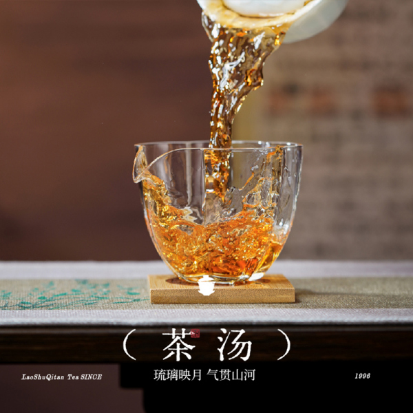 老樹奇譚