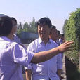 張錦東(平遙縣副縣長) 張錦東(平遙縣副縣長)