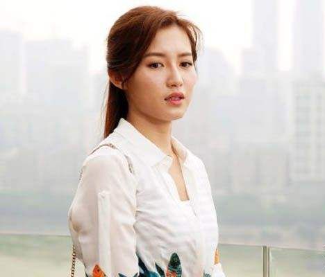 葉一帆(電視劇《特勤精英》的女主角) 葉一帆(電視劇《特勤精英》的女主角)