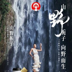 山野梔子 山野梔子