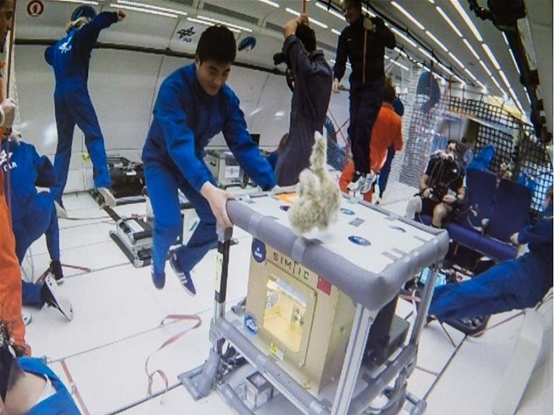 失重模型 失重模型