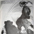 蕭千絕 蕭千絕