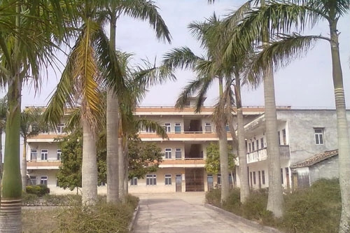 上良國小 上良國小