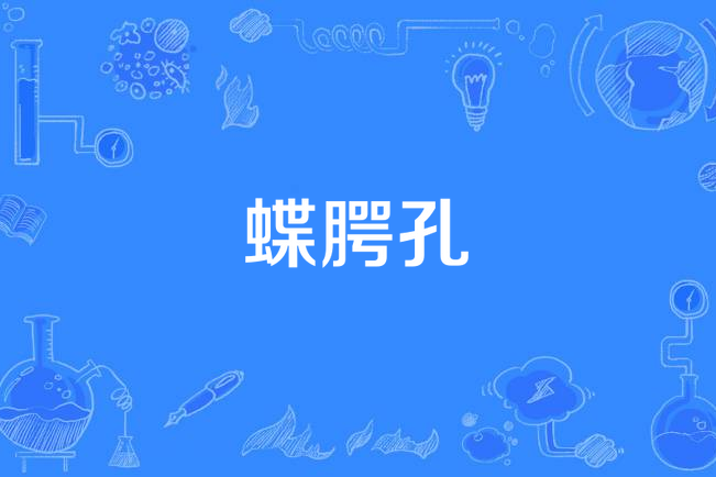 蝶齶孔 蝶齶孔