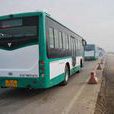 大豐公交D2路 大豐公交D2路