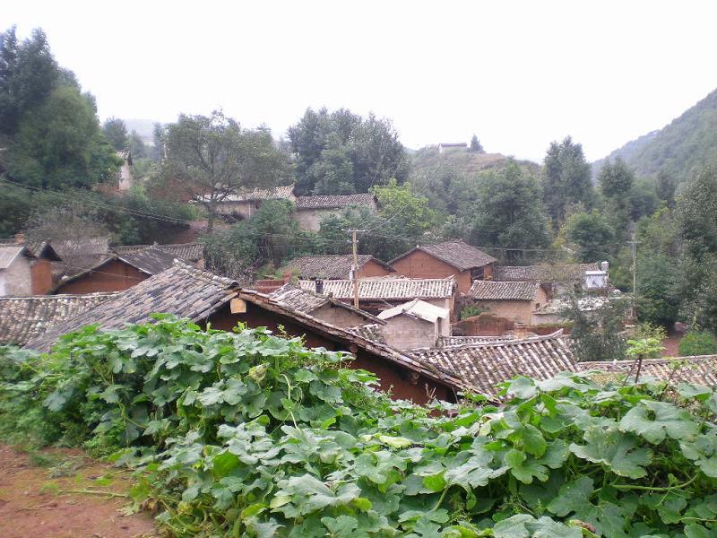 小枉山村 小枉山村