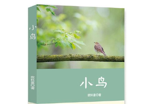 小鳥(2018年中國文聯出版社出版的圖書) 小鳥(2018年中國文聯出版社出版的圖書)