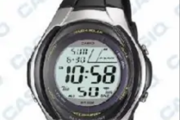 CASIO WL-S21H-1BV CASIO WL-S21H-1BV