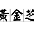 黃金芝 黃金芝