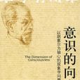 意識的向度 意識的向度