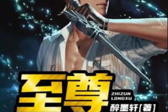 至尊龍婿(醉墨軒所著小說) 至尊龍婿(醉墨軒所著小說)