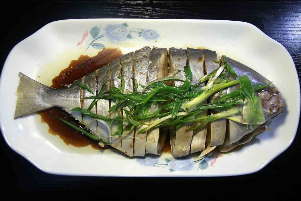 風琴魚 風琴魚