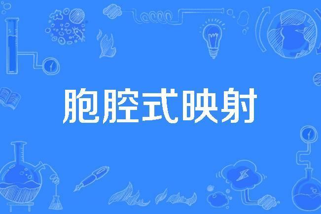 胞腔式映射 胞腔式映射