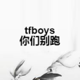 tfboys你們別跑 tfboys你們別跑